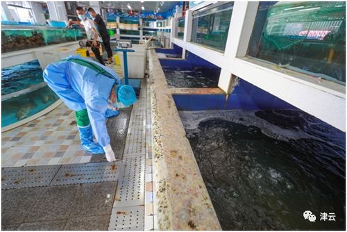 记者直击 天津市场上的海鲜 肉类安全吗